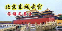 操逼激情视频啊啊999中国北京-东城古宫旅游风景区